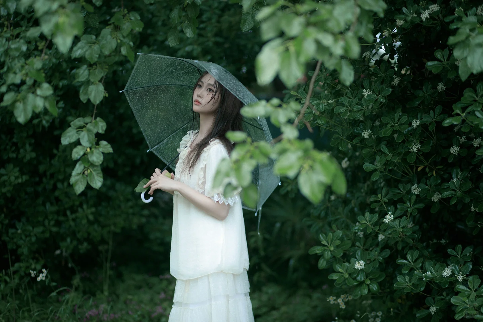 去森林吧，带一把伞☔阴雨天氛围感写真照