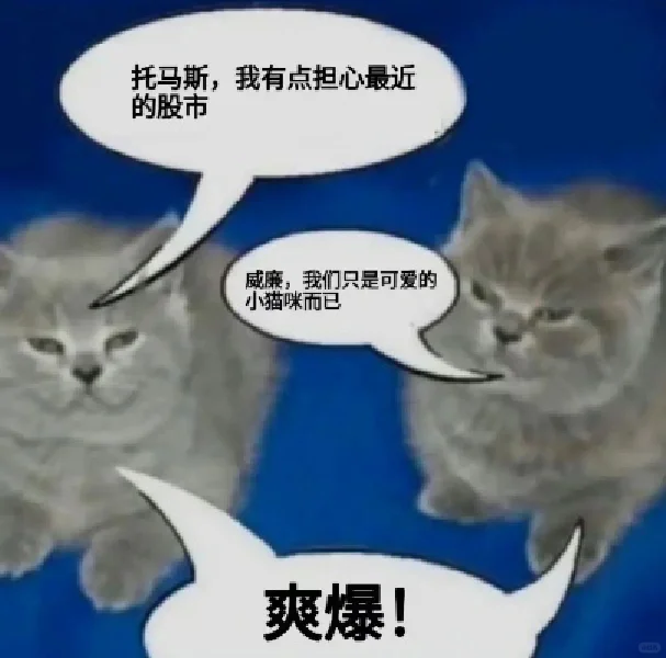 存一些猫猫精神状态meme梗图2.0