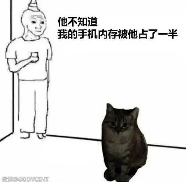 存一些猫猫精神状态meme梗图2.0