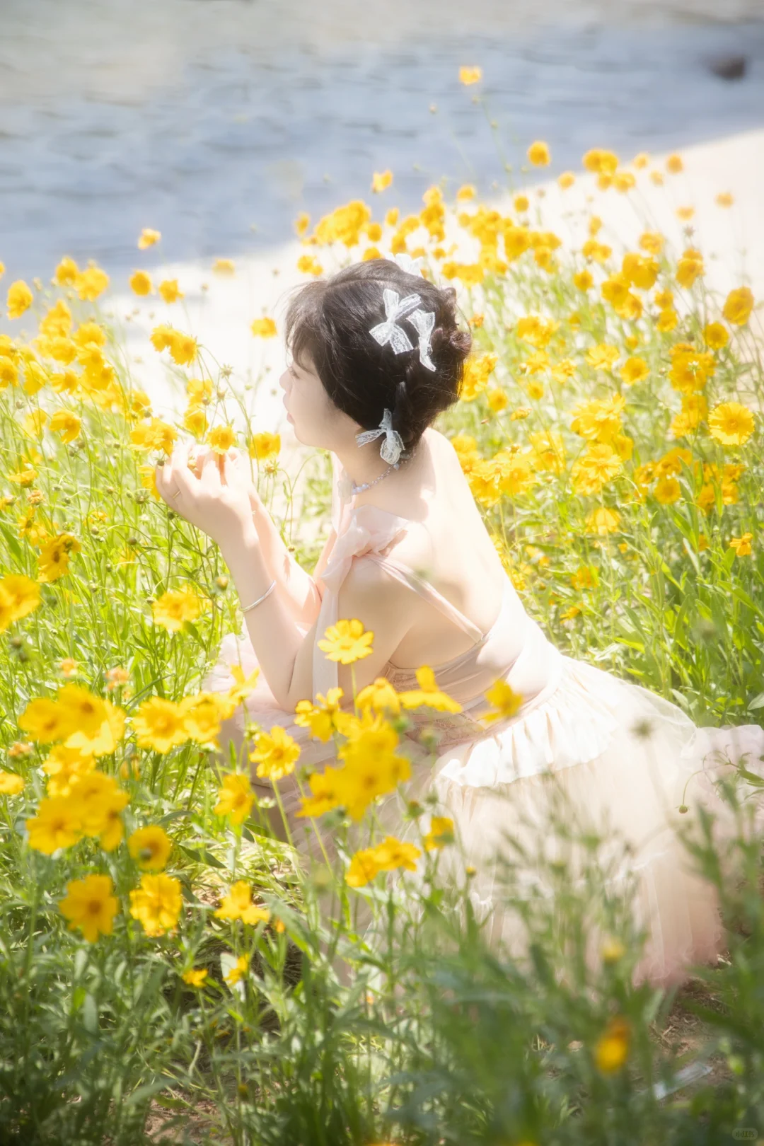 郑州｜马鞭草油画少女感写真~