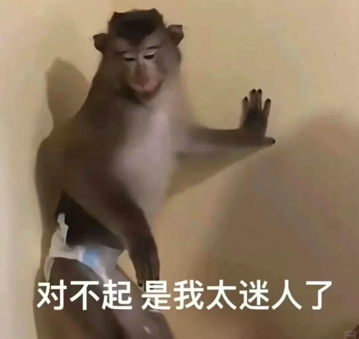 吗喽表情包～