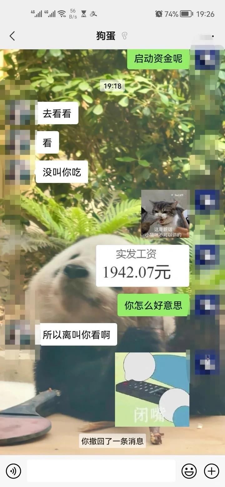 我把我的工资做成表情包