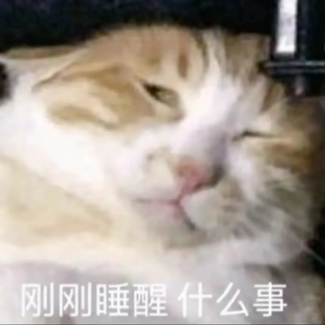 猫猫搞怪表情包