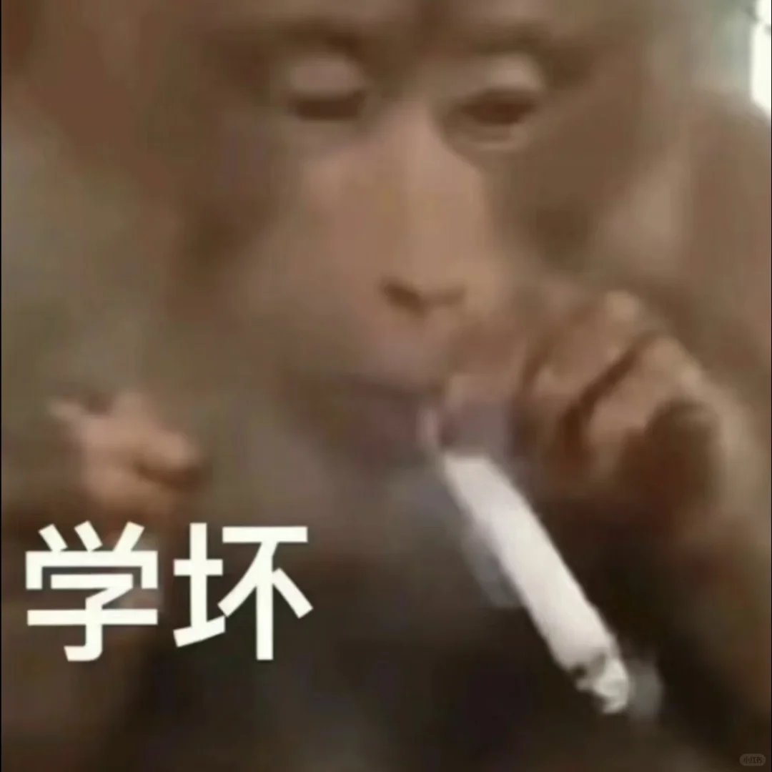 拿去吧我的吗喽表情包