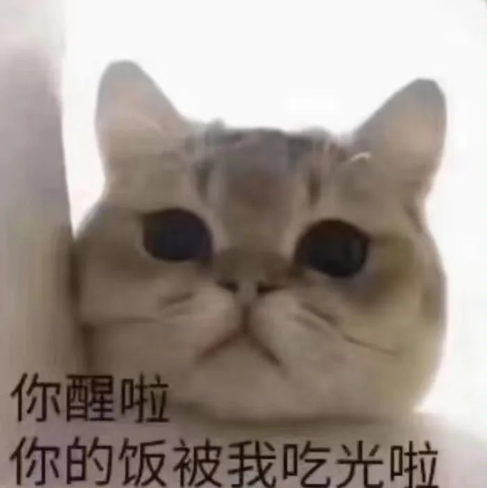 猫猫搞怪表情包