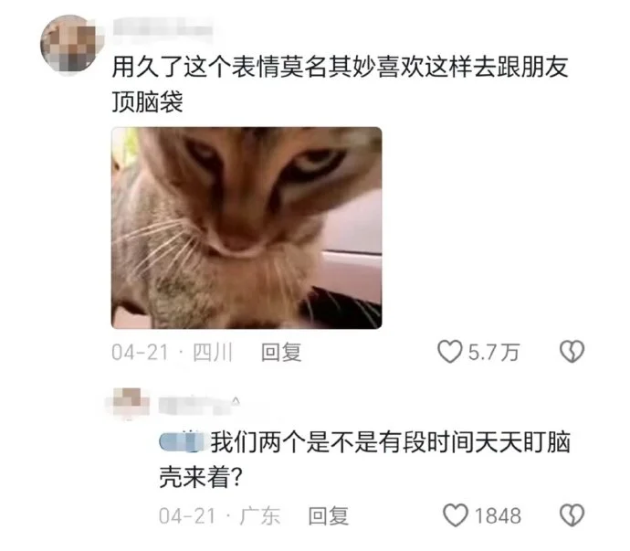 我已经越来越像这些表情包