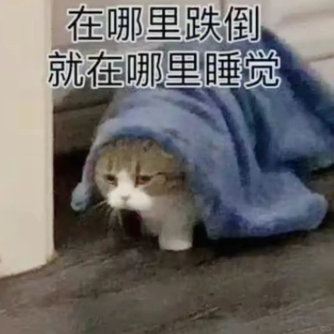 猫猫搞怪表情包