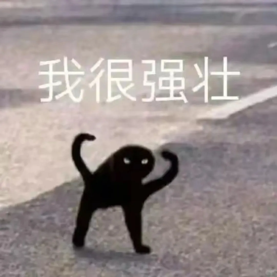 猫猫搞怪表情包