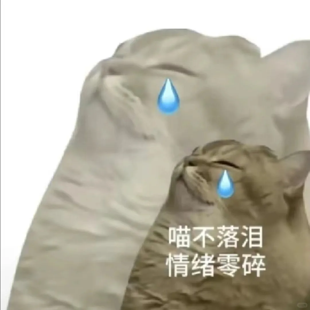 猫猫搞怪表情包