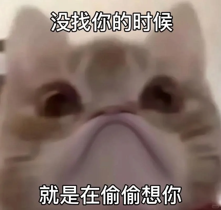 可爱小猫表情包