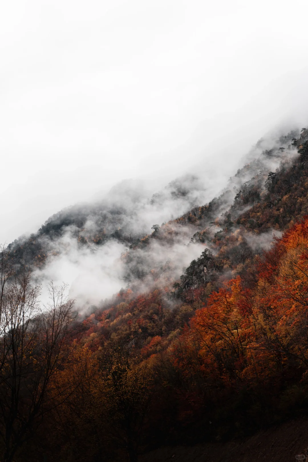 高清山峰大海壁纸