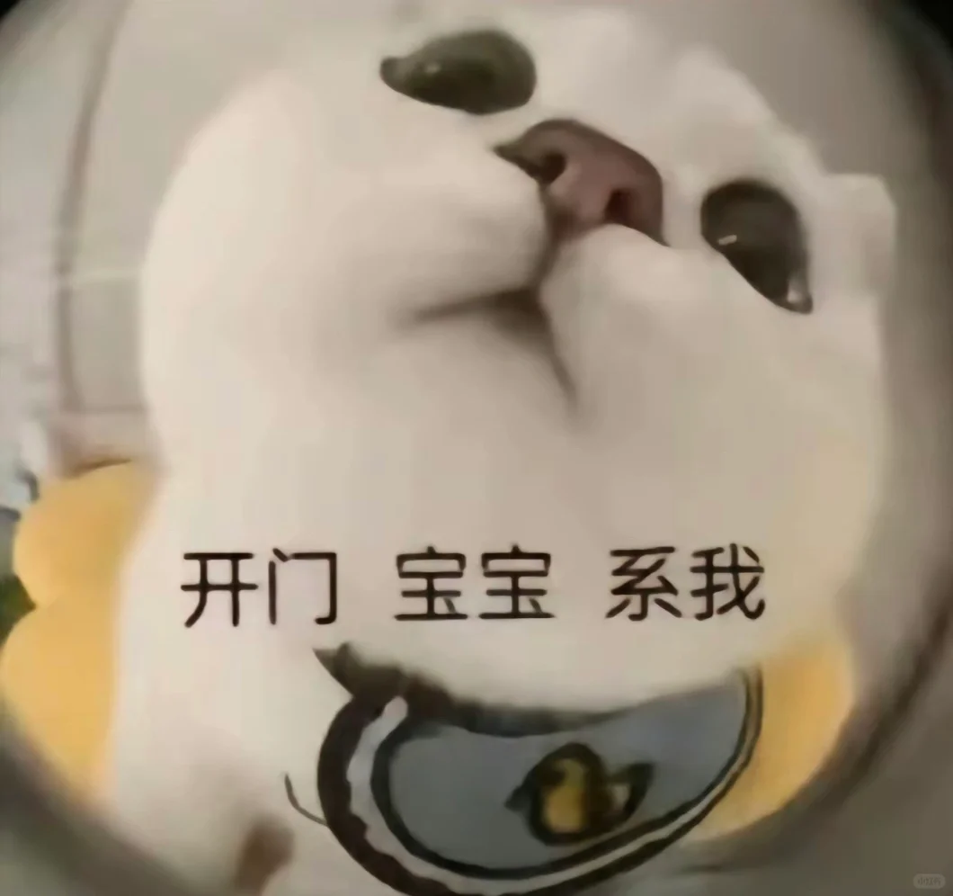 胖猫经常用的表情包和头像