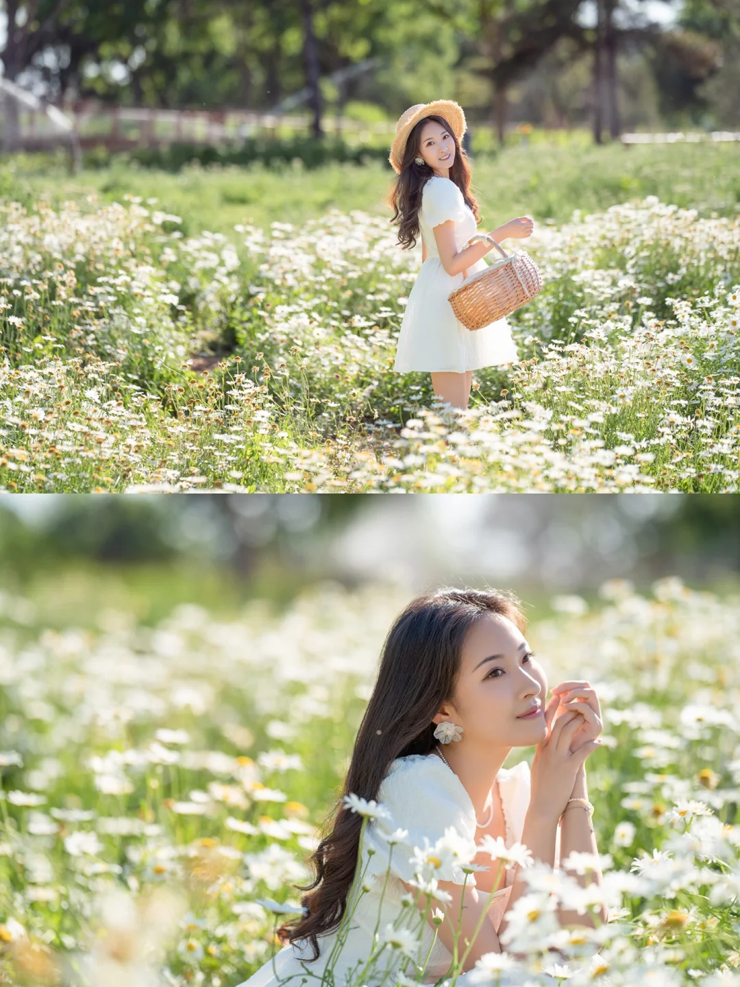 浪漫的人间总是蓄满鲜花 小雏菊少女写真