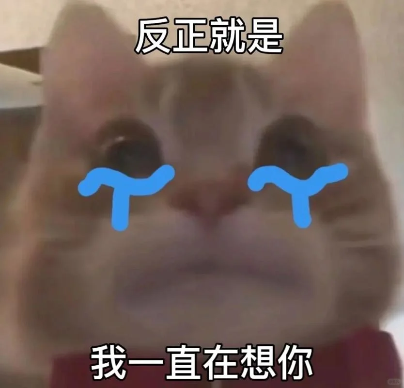 可爱小猫表情包