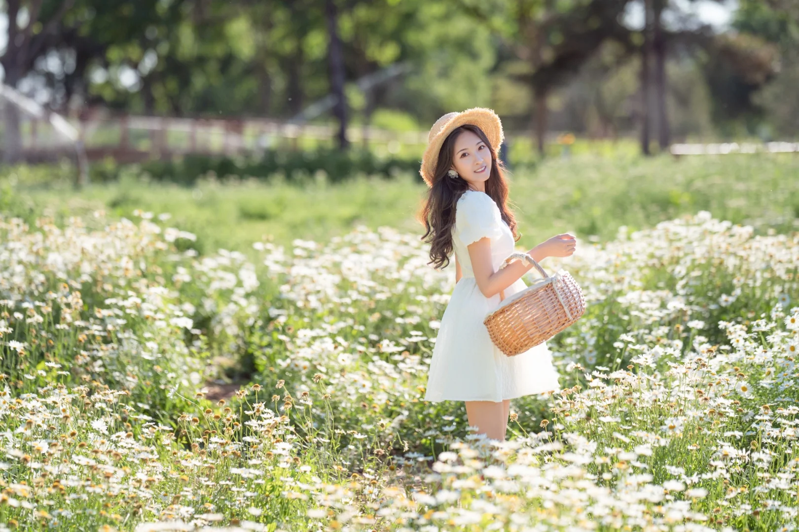 浪漫的人间总是蓄满鲜花 小雏菊少女写真