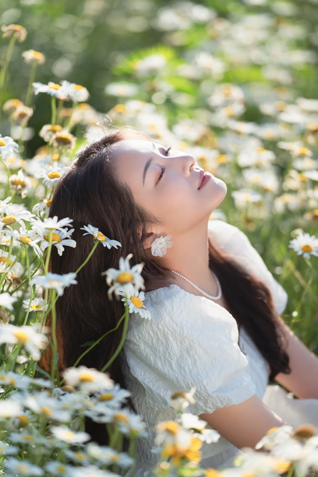 浪漫的人间总是蓄满鲜花 小雏菊少女写真