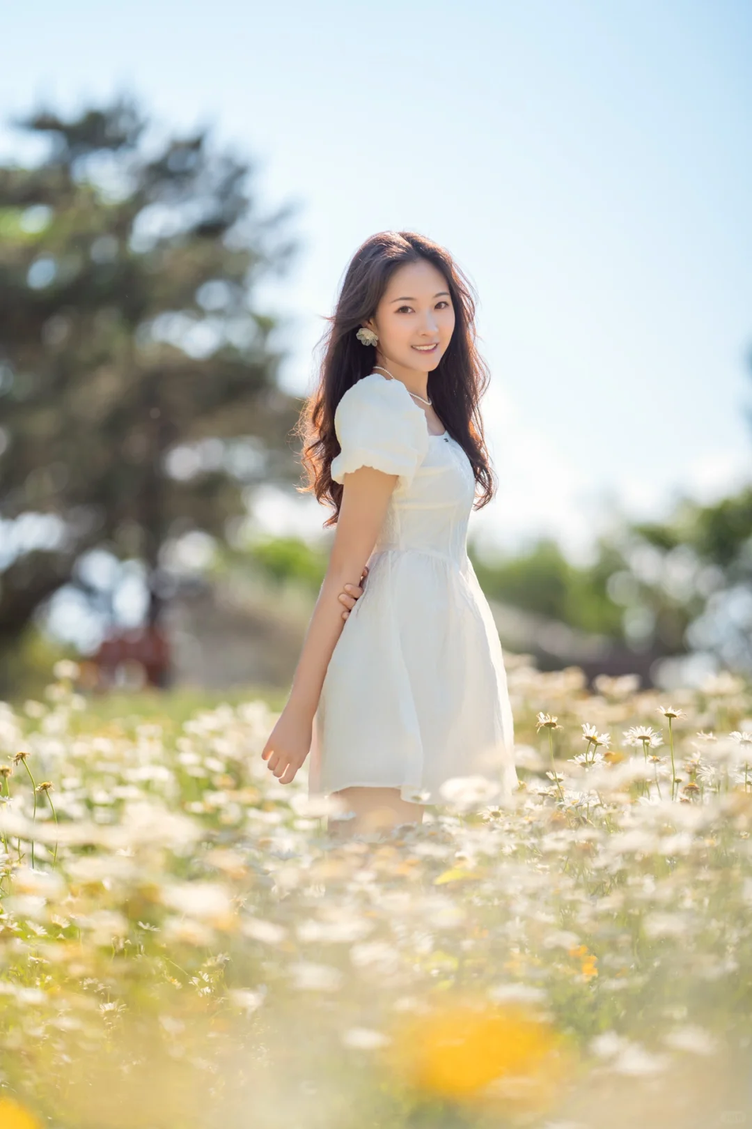 浪漫的人间总是蓄满鲜花 小雏菊少女写真