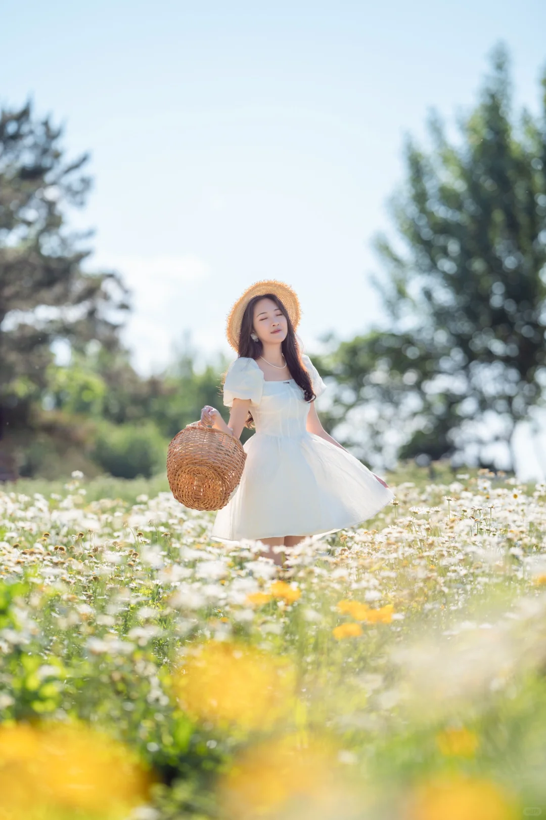 浪漫的人间总是蓄满鲜花 小雏菊少女写真