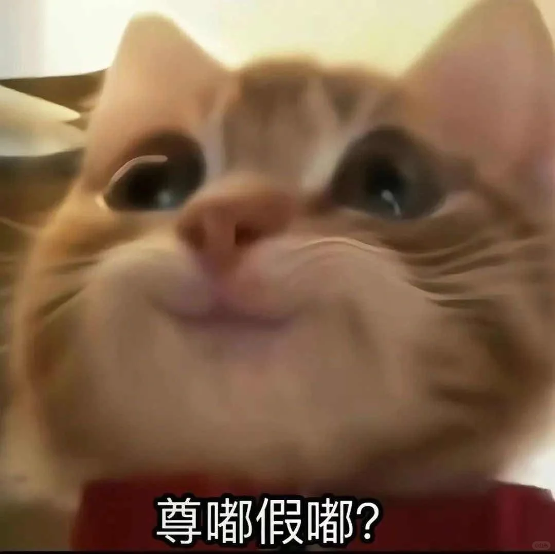 猫猫表情包分享第三弹！