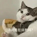 可可爱爱的小猫咪表情包