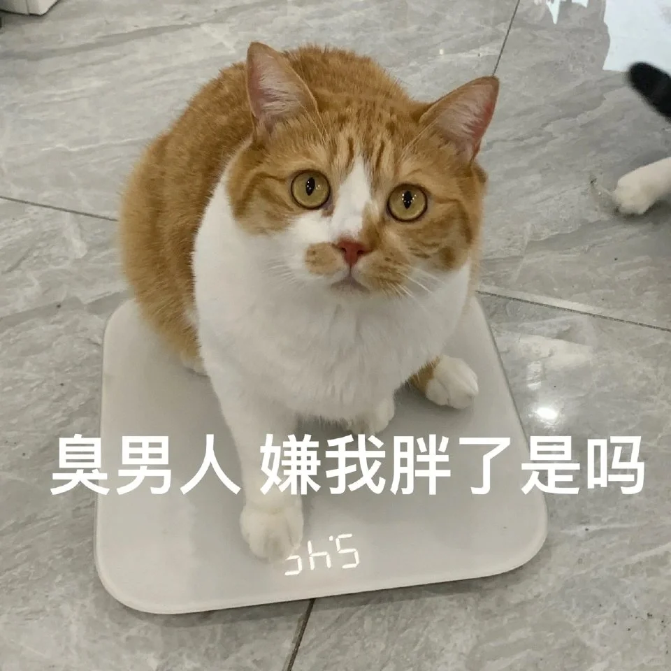 猫猫表情包自由?