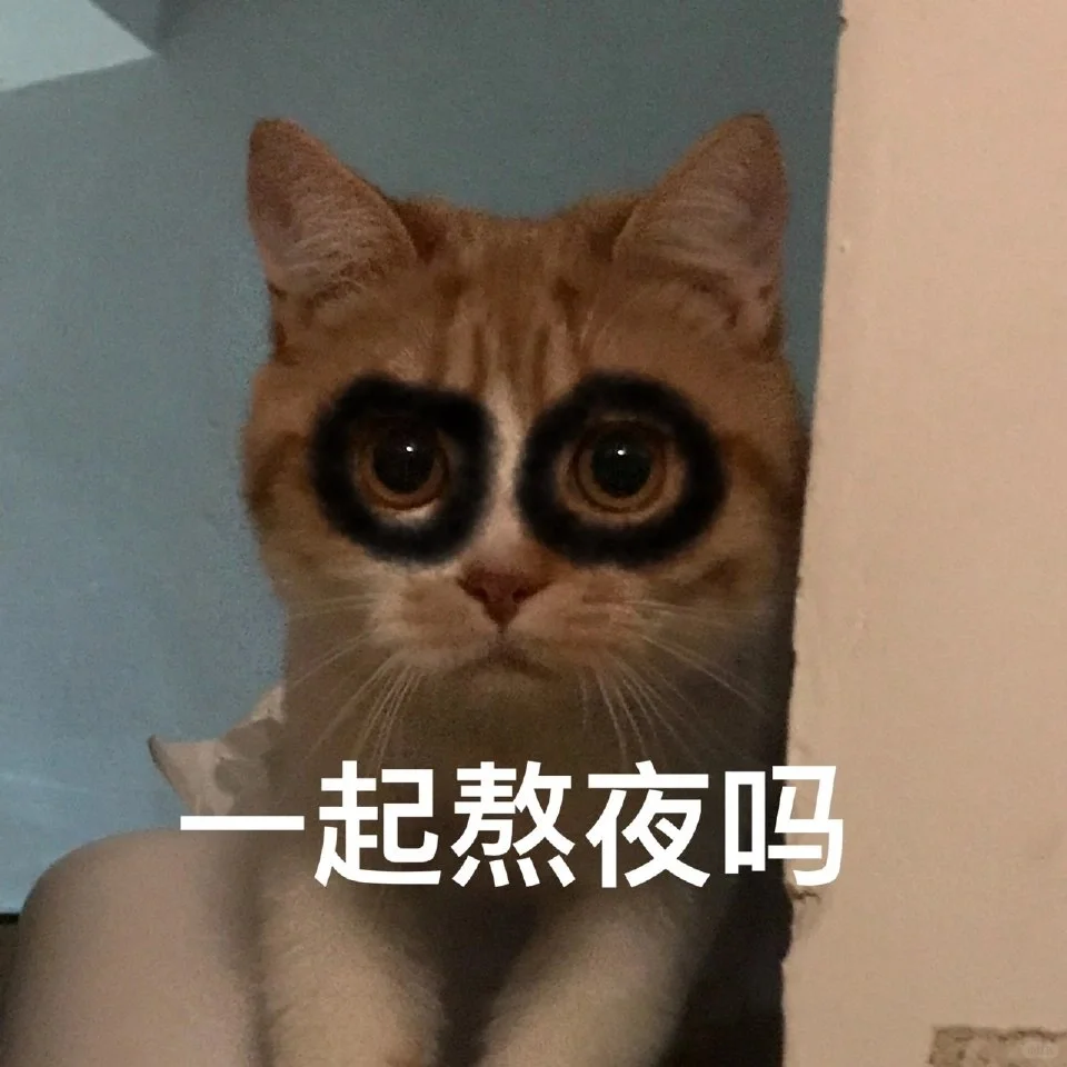 猫猫表情包自由?