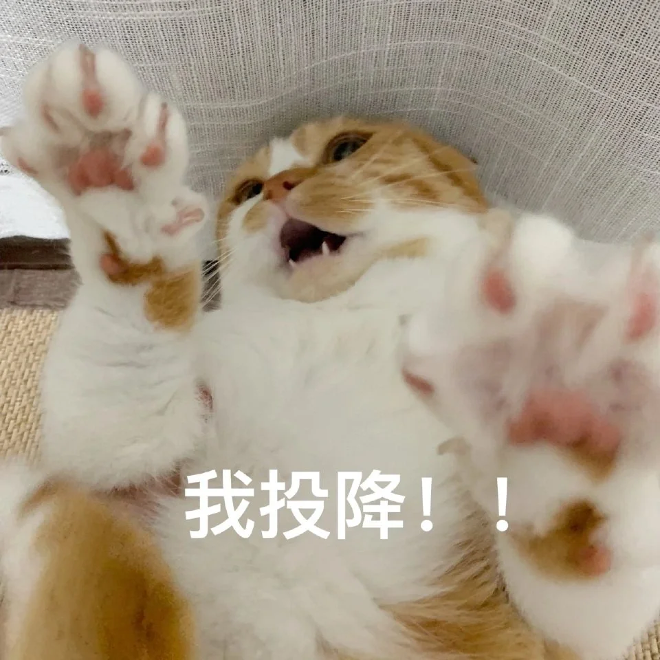 猫猫表情包自由?