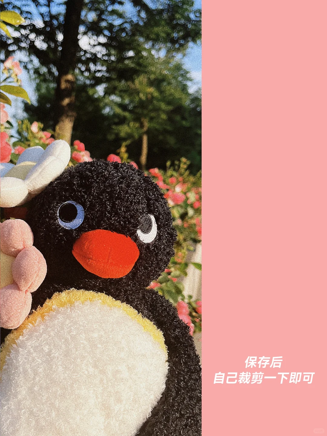 手机壁纸 | 花簇中的捧?pingu