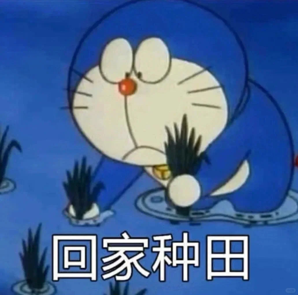 今日份表情包