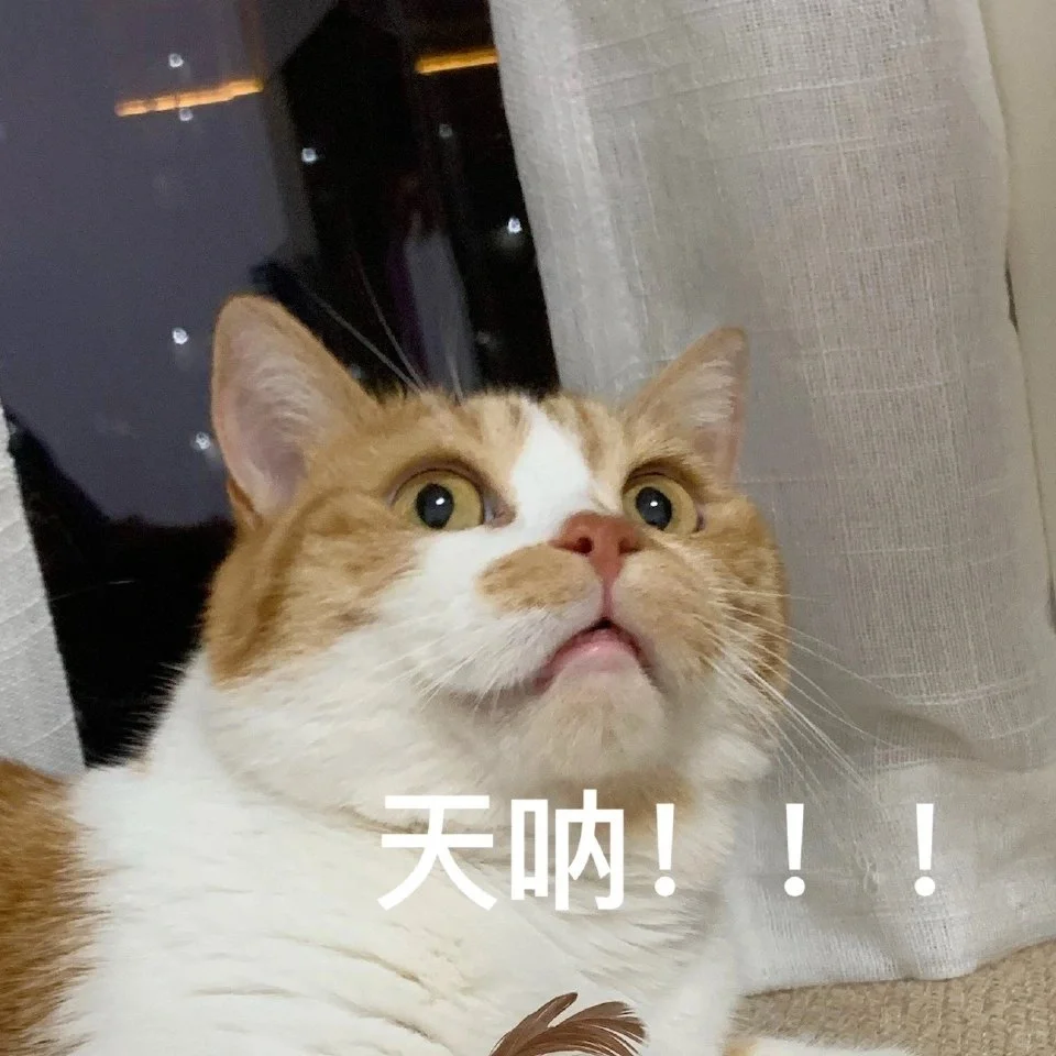 猫猫表情包自由?