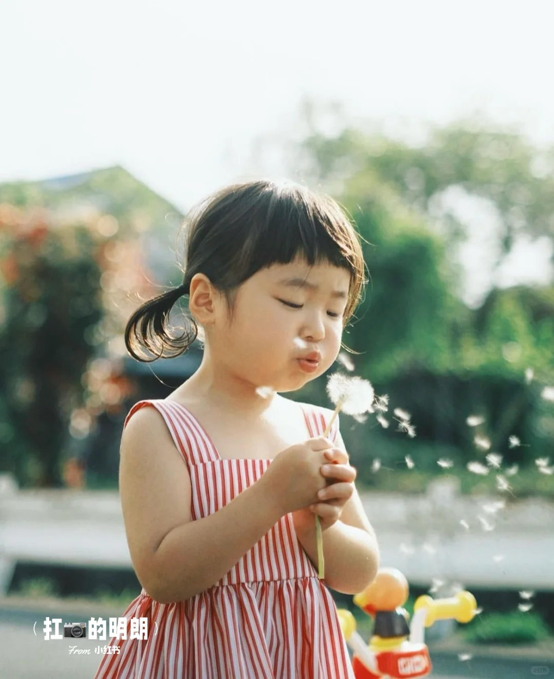 招募｜威海女宝宝免费拍照啦！！