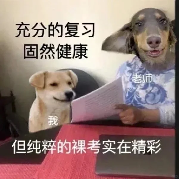 最适合大学生的发疯表情包