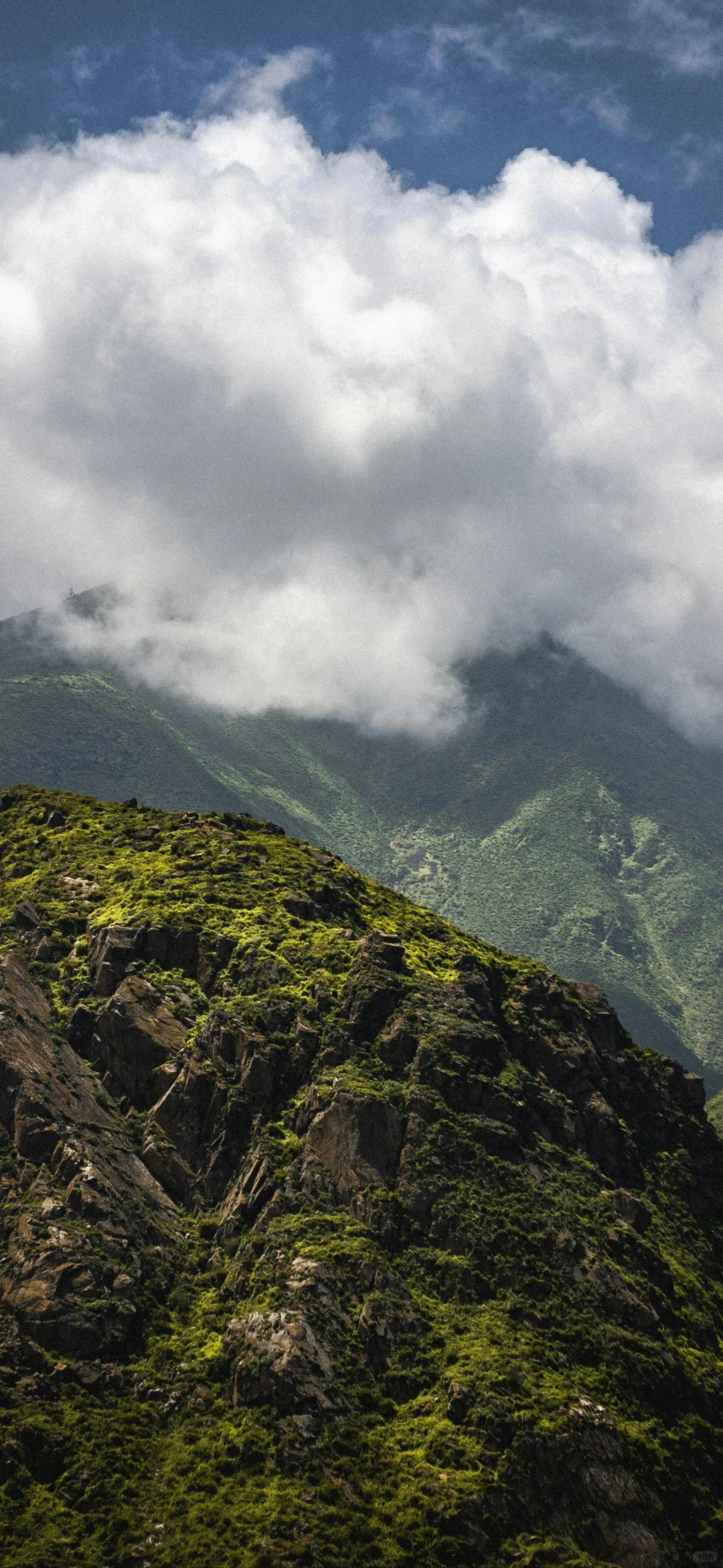 一期治愈系风景⛰️高清手机壁纸