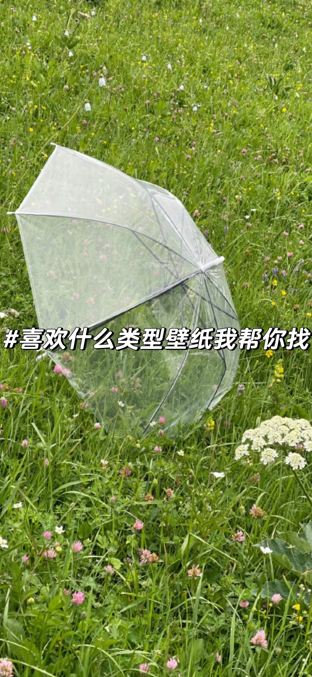 专属夏天手机壁纸