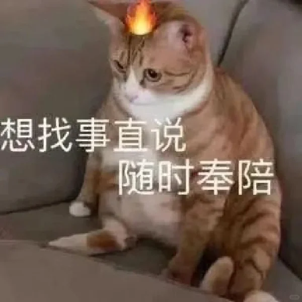 超可爱的猫猫表情包