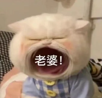 猫猫张嘴表情包小合集