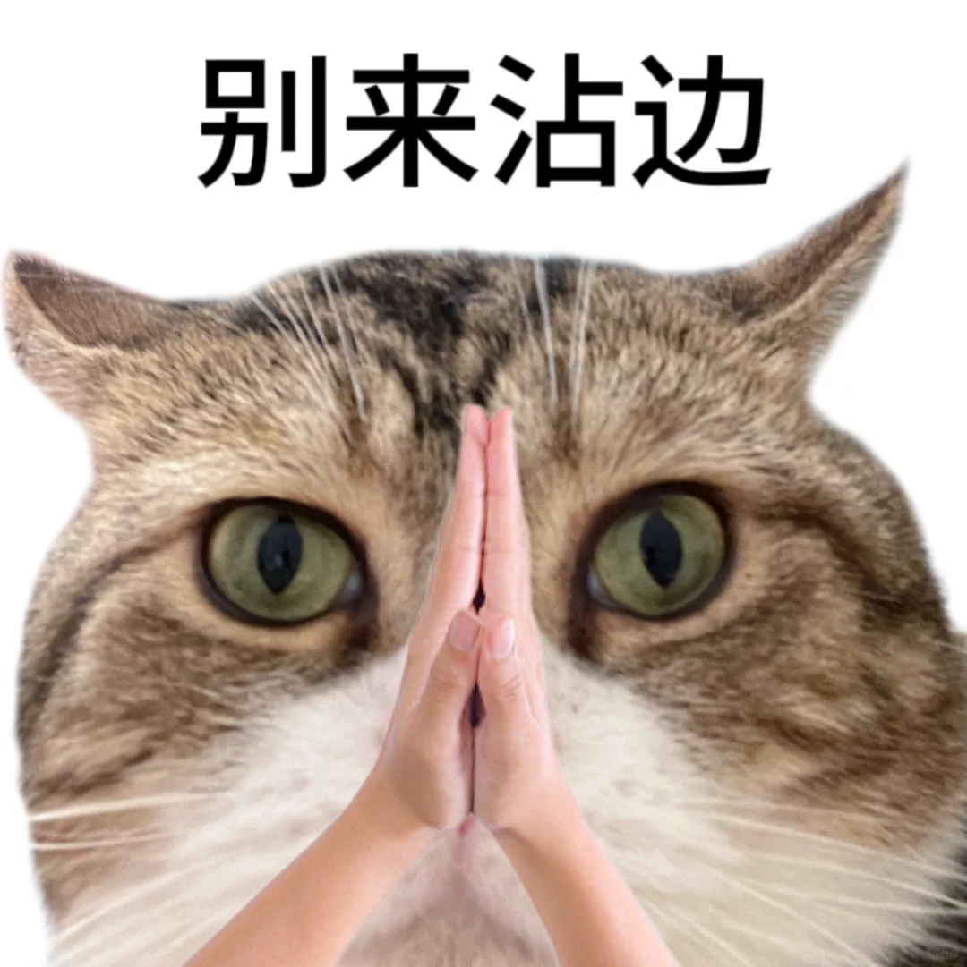 这种猫猫头表情包到底是谁在用啊