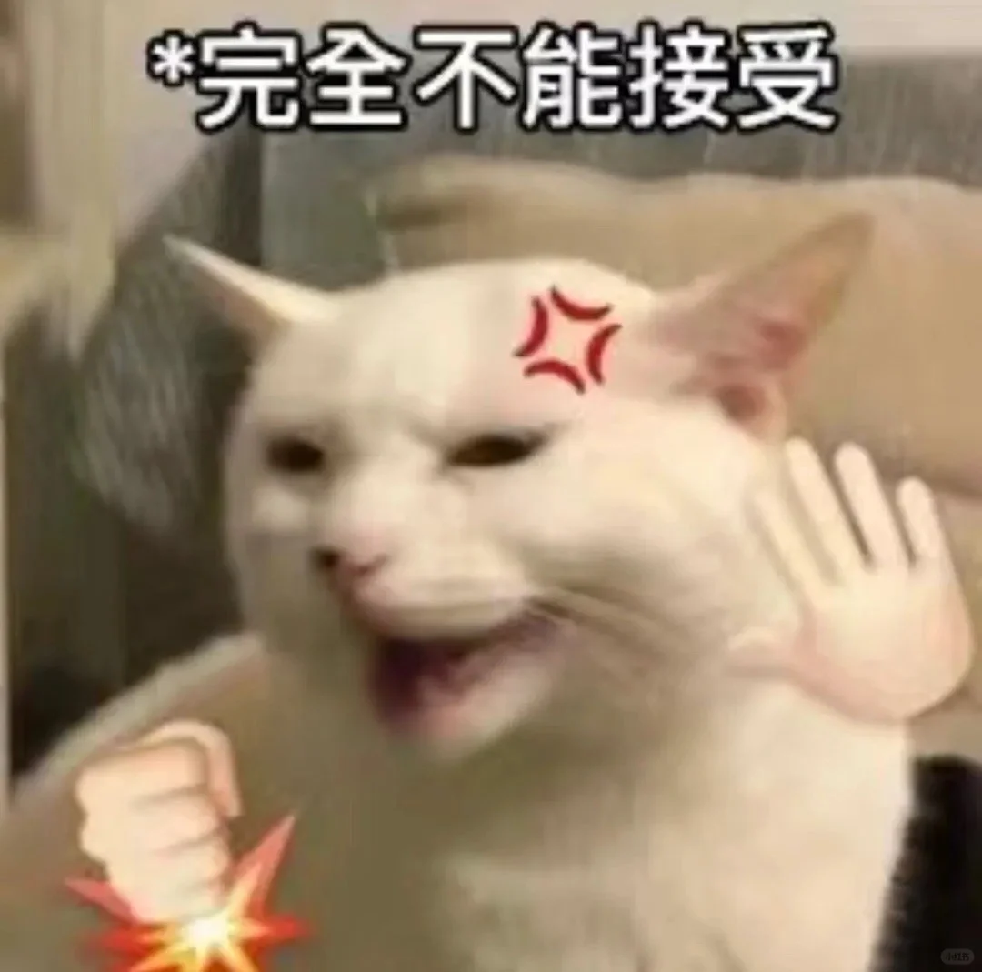 超可爱的猫猫表情包