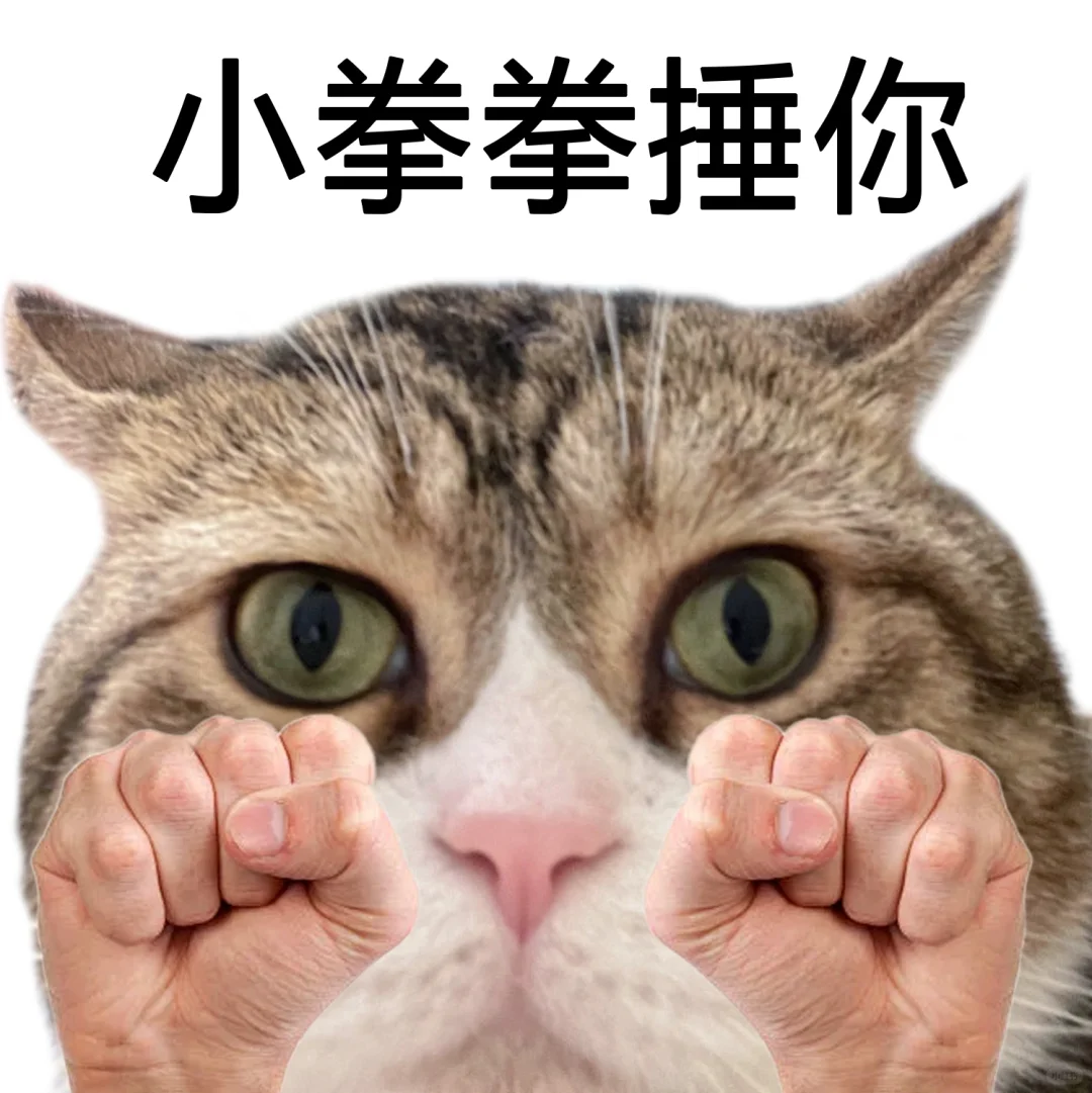 这种猫猫头表情包到底是谁在用啊