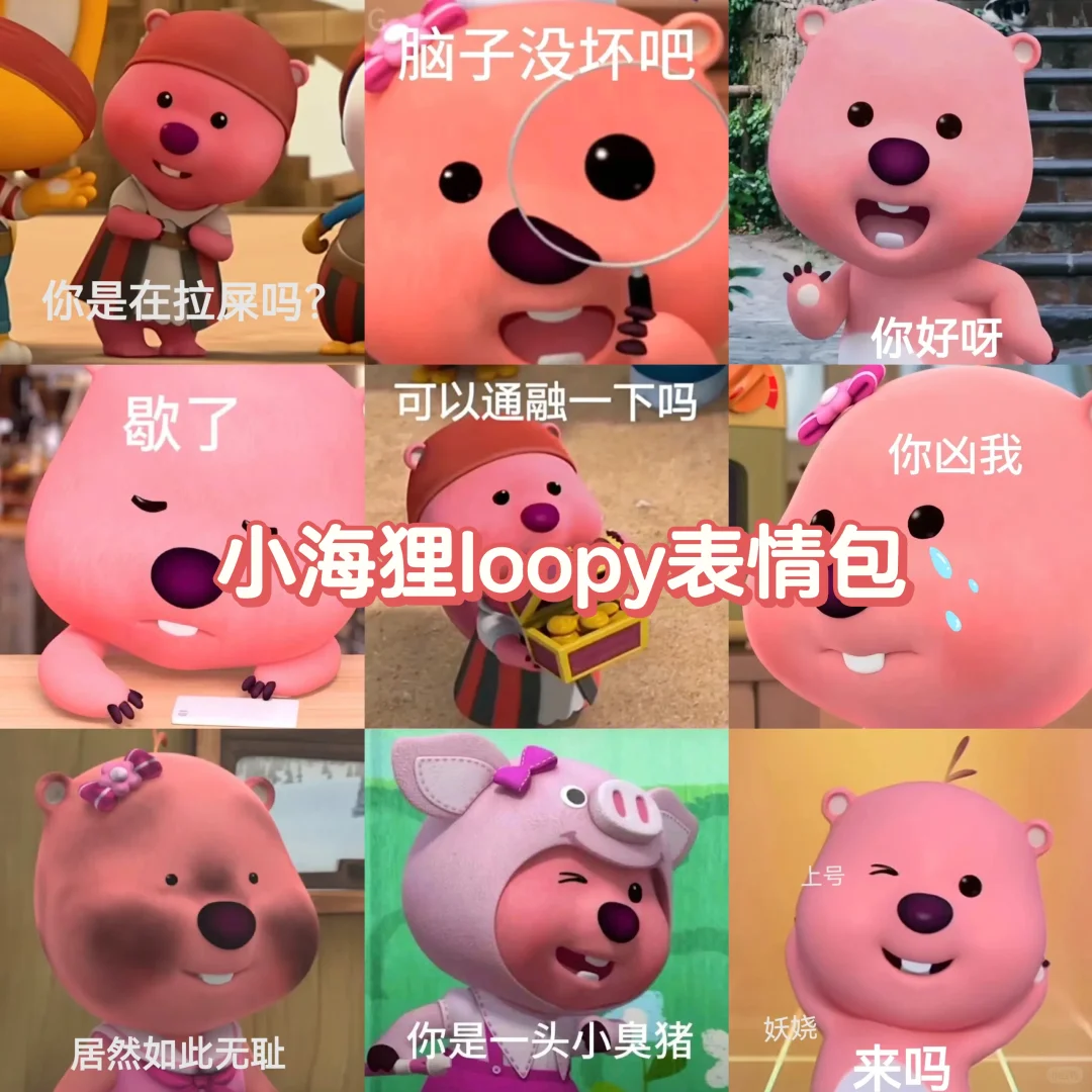 小海狸loopy表情包｜可爱小露比合集