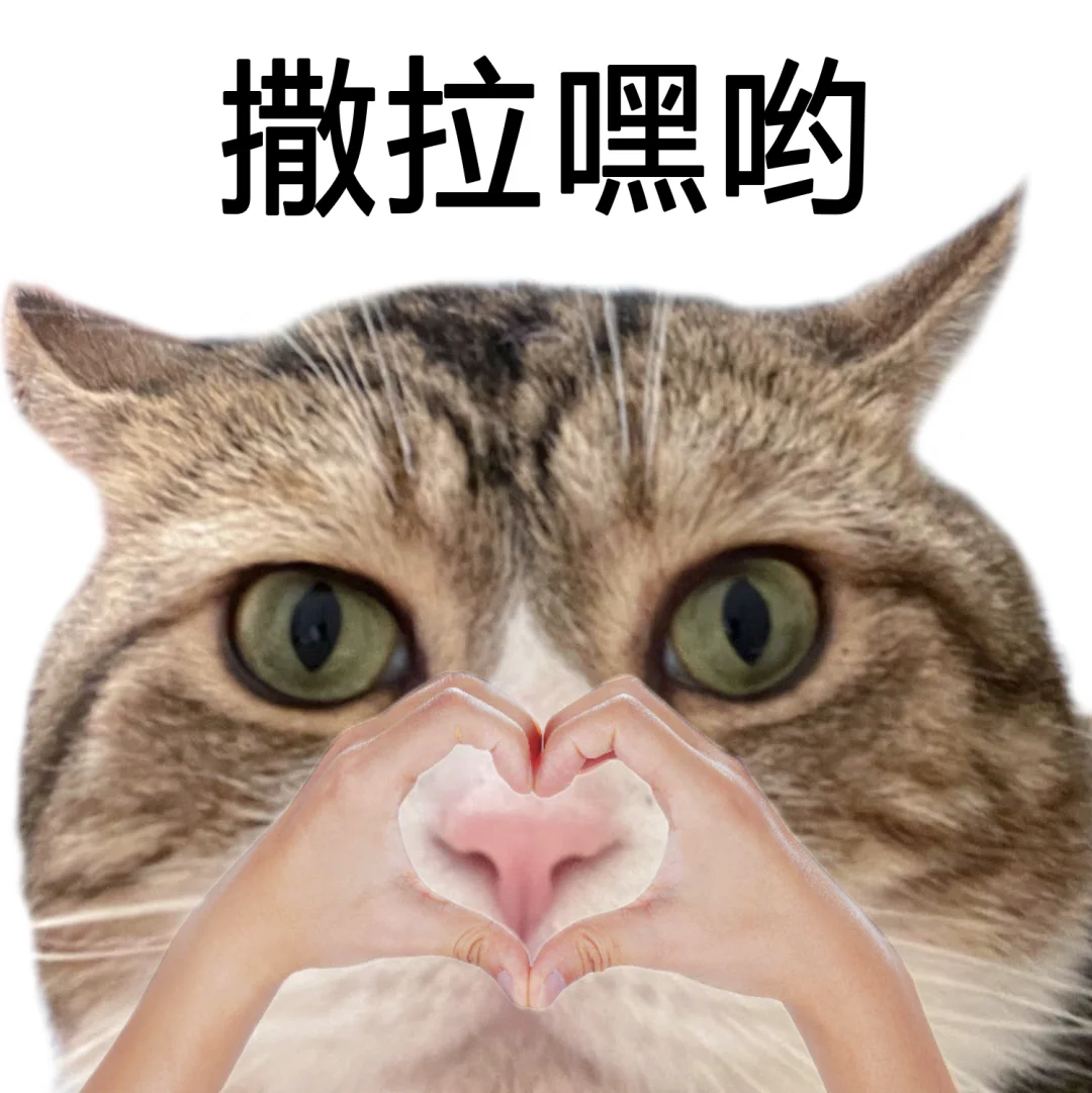 这种猫猫头表情包到底是谁在用啊