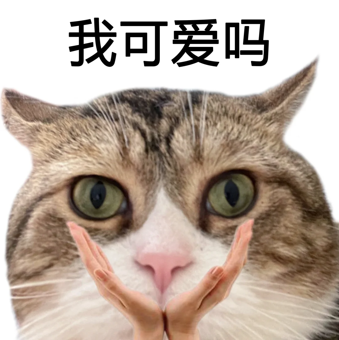 这种猫猫头表情包到底是谁在用啊