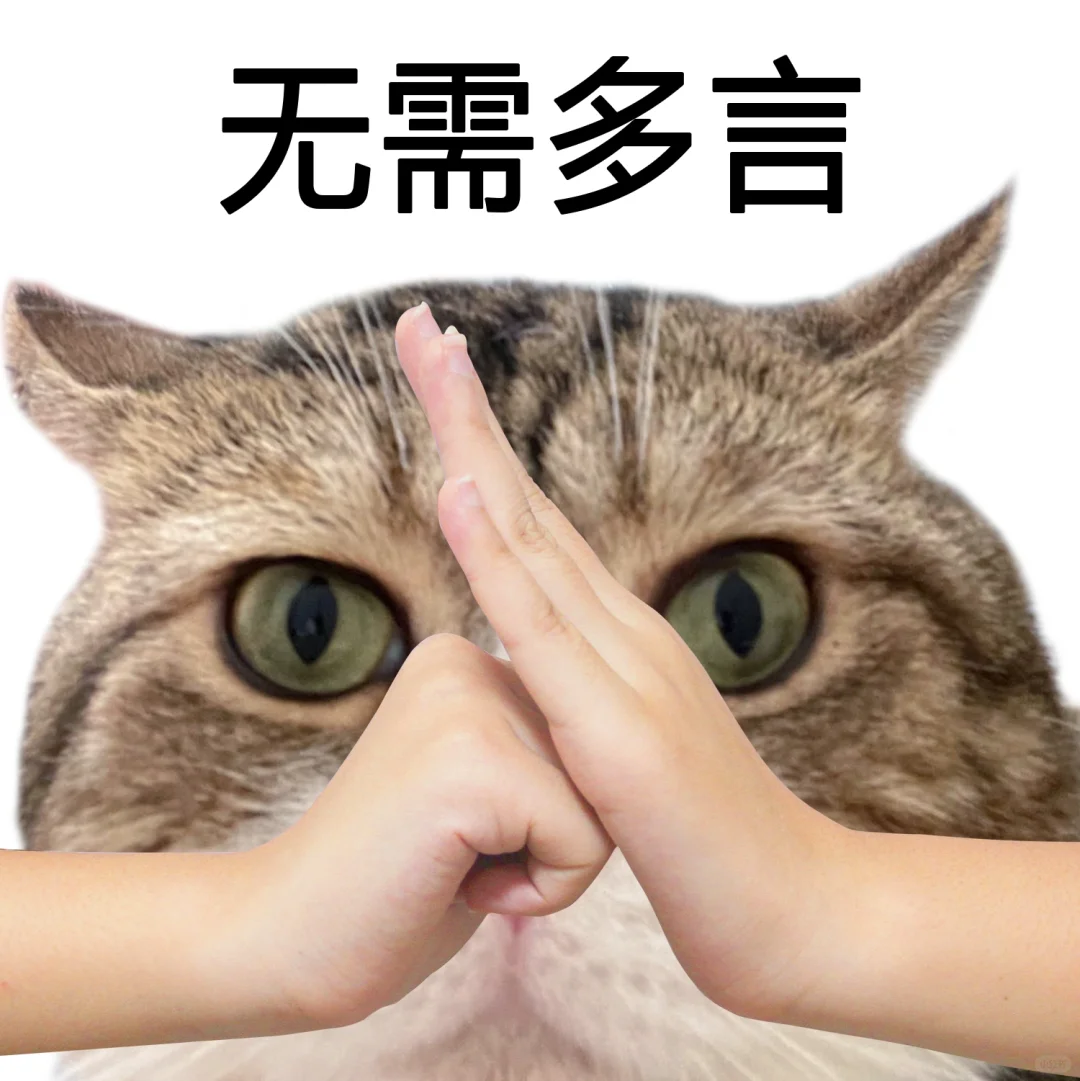 这种猫猫头表情包到底是谁在用啊