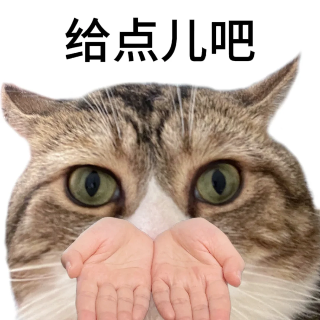 这种猫猫头表情包到底是谁在用啊