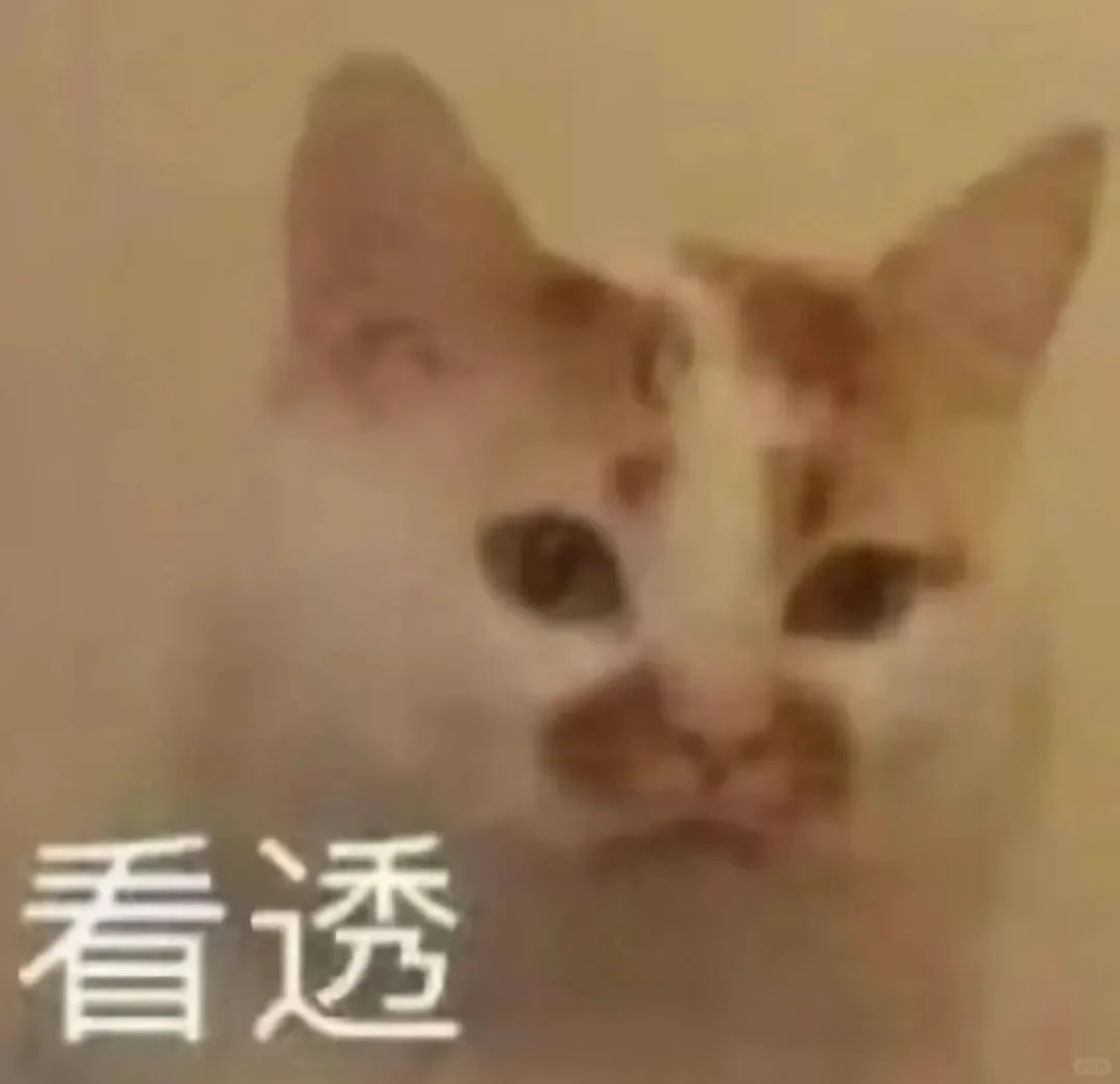 超可爱的猫猫表情包