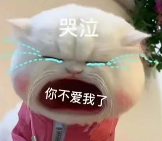 猫猫张嘴表情包小合集