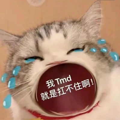 猫猫张嘴表情包小合集