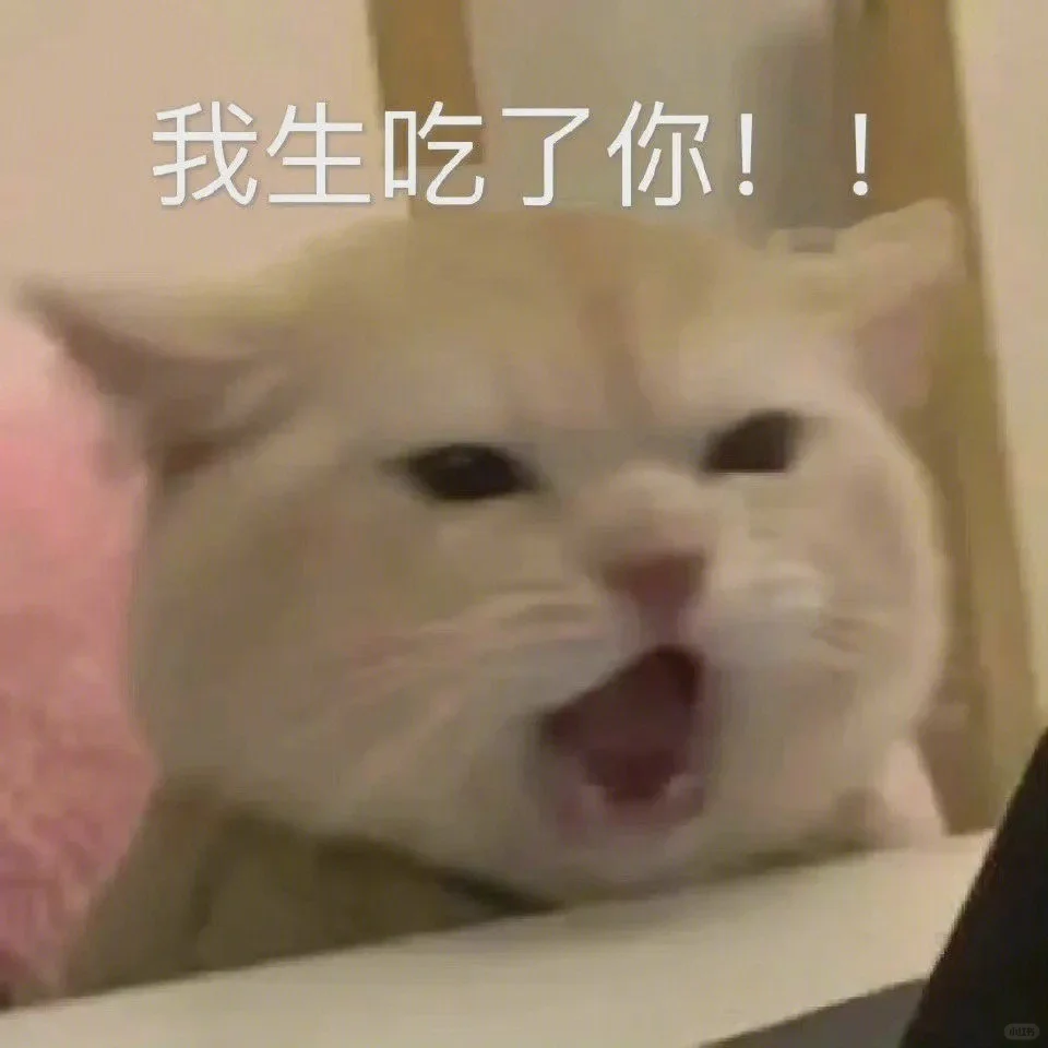 超可爱的猫猫表情包