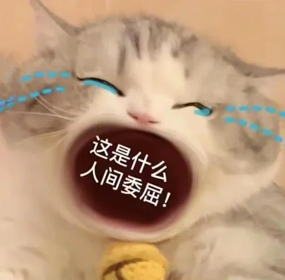 猫猫张嘴表情包小合集