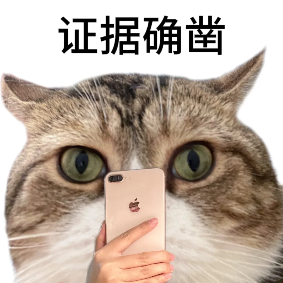 这种猫猫头表情包到底是谁在用啊